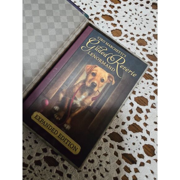 Fin de Siecle Fortune Telling Deck 39 Cards 83 PG Illustrated Guidebook US Games - Picture 4 of 6